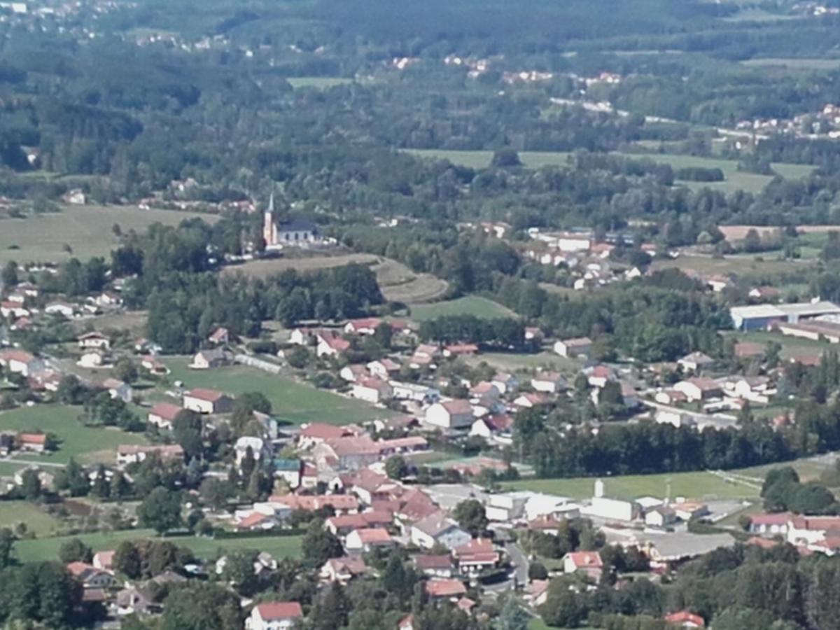 דירות Saint-Michel-sur-Meurthe La Bienvenue מראה חיצוני תמונה